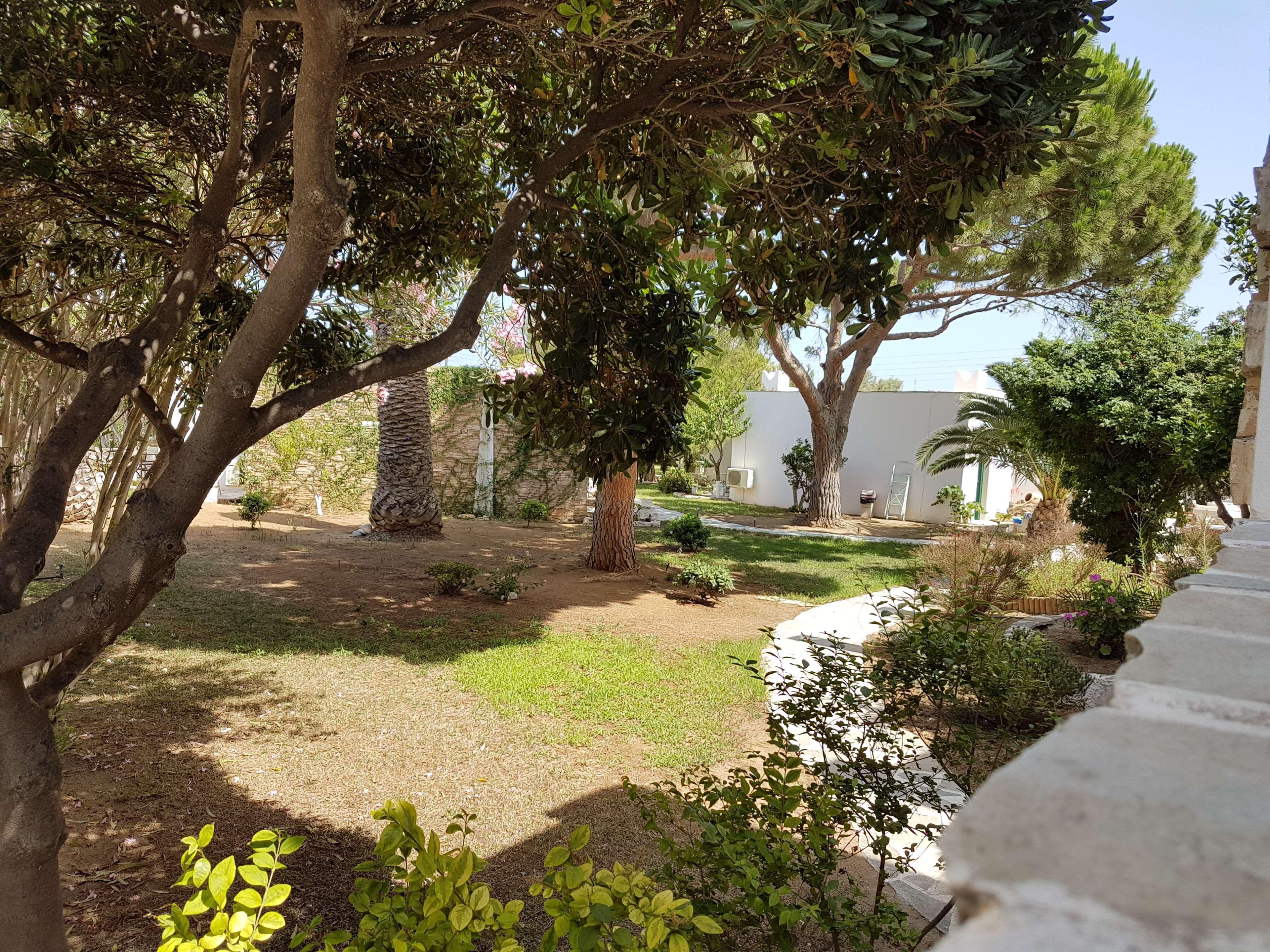 Hotel Naxos Beach Naxos City Dış mekan fotoğraf