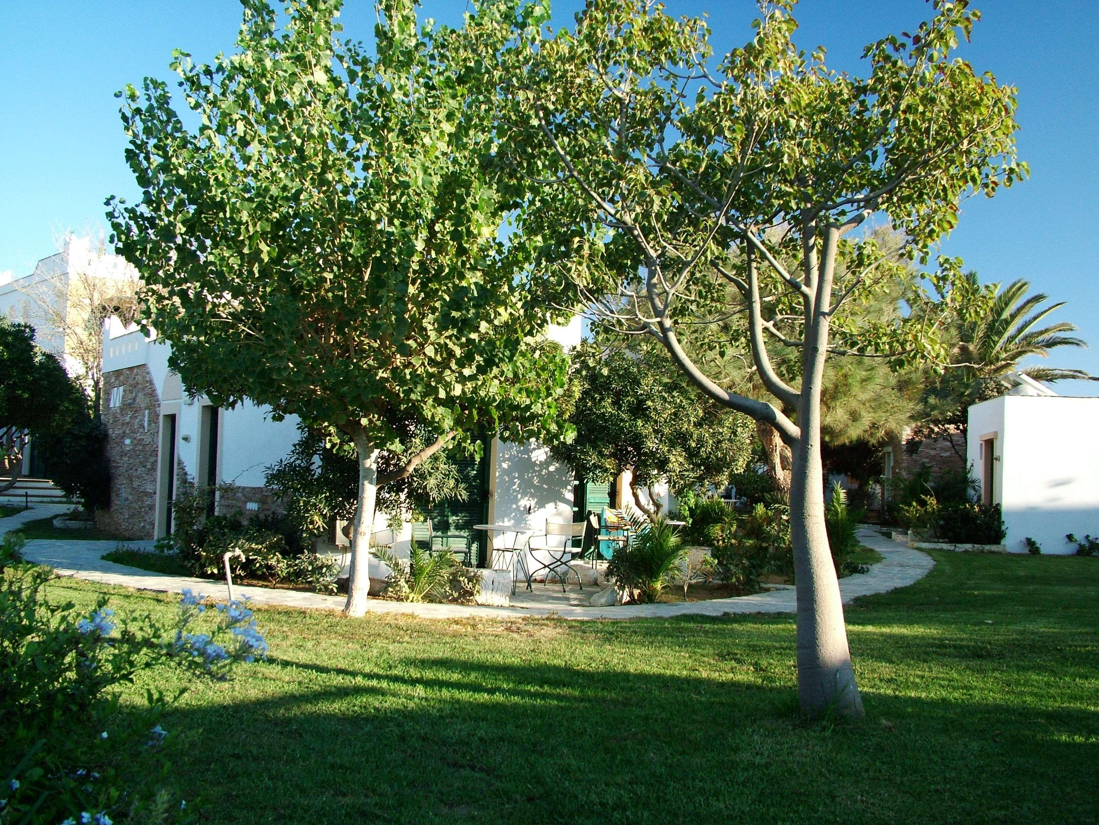 Hotel Naxos Beach Naxos City Dış mekan fotoğraf